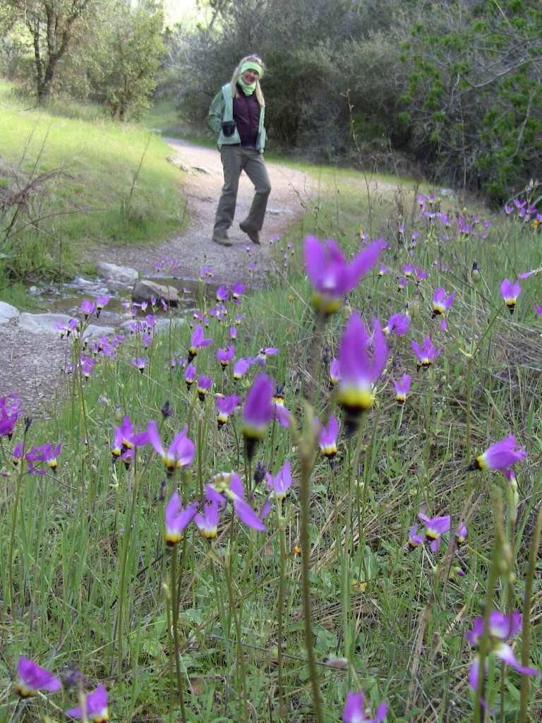 Karin Leonard Robin with trailside flowers